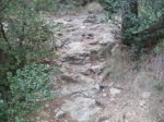 PB090022.jpg