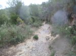 PB090046.jpg