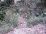 PB090024.jpg