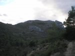 P1010020.jpg