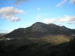 P1010006.jpg