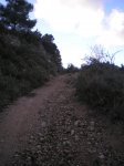 P1010005.jpg