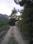 P1010019.jpg