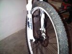 IMG00052-20101109-1141.jpg