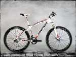 RX_6_Blanca.jpg