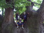 sierra  de  las  nieves bike 2008 032.jpg