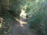 CIMG0678_low.JPG