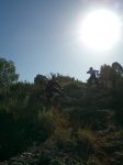 CIMG0693_low.JPG