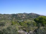 CIMG0686_low.JPG
