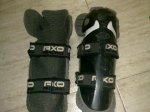 29102010487.jpg