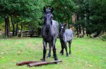DSC_2116.jpg