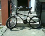 DSC00539.jpg