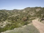 dsc00339_169.jpg