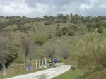 dsc03197__medium_.jpg