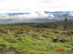 DSC00693web.jpg