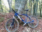 bici contra arbol50.jpg