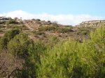 Imagen 010.JPG