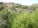 Imagen 011.JPG