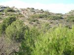 Imagen 012.JPG