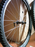 PICT0199.gif