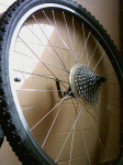 PICT0201.gif