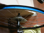 PICT0205.gif
