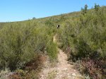 foncebadÃ³n-hippy-021.jpg