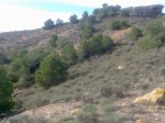 Imagen084.jpg