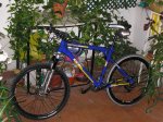 Imagen 022.jpg