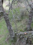 IMG_3886.jpg