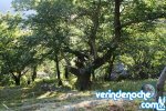 cerdedelo_r_marroqui_1025.jpg