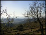PICT0023.jpg