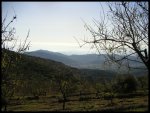 PICT0020.jpg
