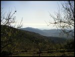 PICT0019.jpg