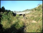 PICT0014.jpg