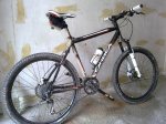 08052010015.jpg