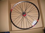 DSC04964.JPG