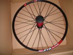 DSC04965.JPG