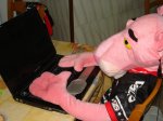 DSC05813_800x600.jpg