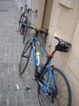 gokateando 038.jpg