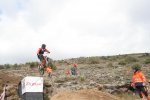 IMG_1442.jpg