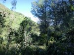 CIMG0932.jpg