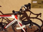 DSC02692_Medium.JPG