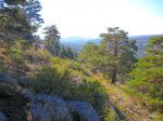 DSCN2215.jpg