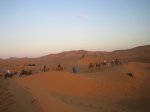 IMG_5288.JPG