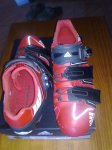 12112010031.jpg
