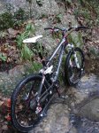 DSC00387.jpg