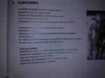 Funciones.jpg