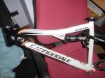 DSC00986.jpg