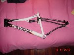 DSC00985.jpg